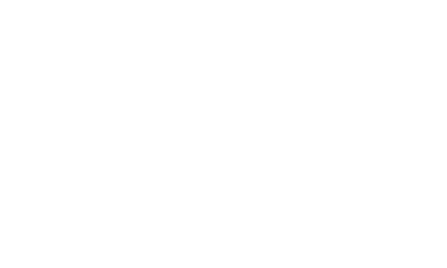 Curry-Auto-500w