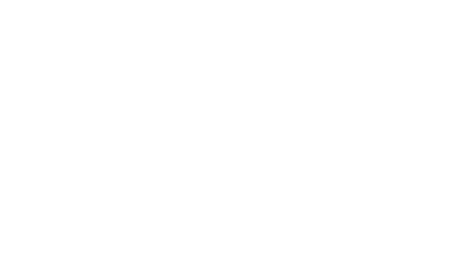 KOEPPEL-HYUNDAI-500