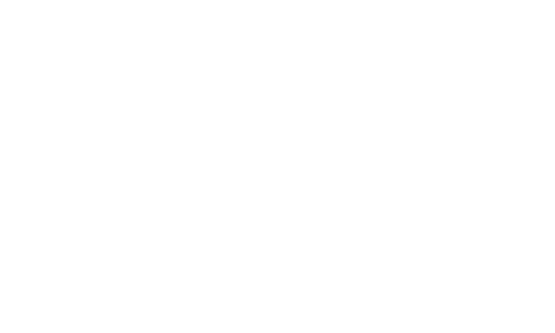 NYSS-500w